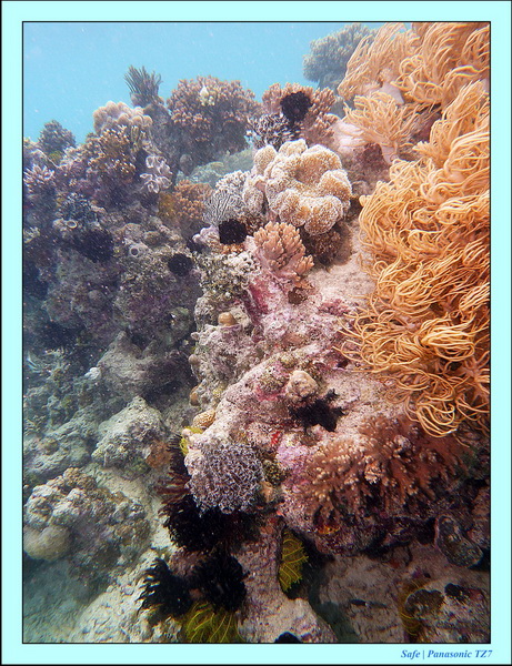 2011 - 08 - Bohey Dulang Island 05